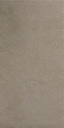 Tortora