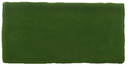 Verde Vic