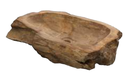 Fossil - Vasque à Poser - D. 26-46 cm