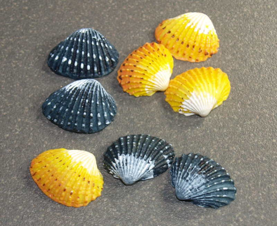 Forme Coquillage Bleu