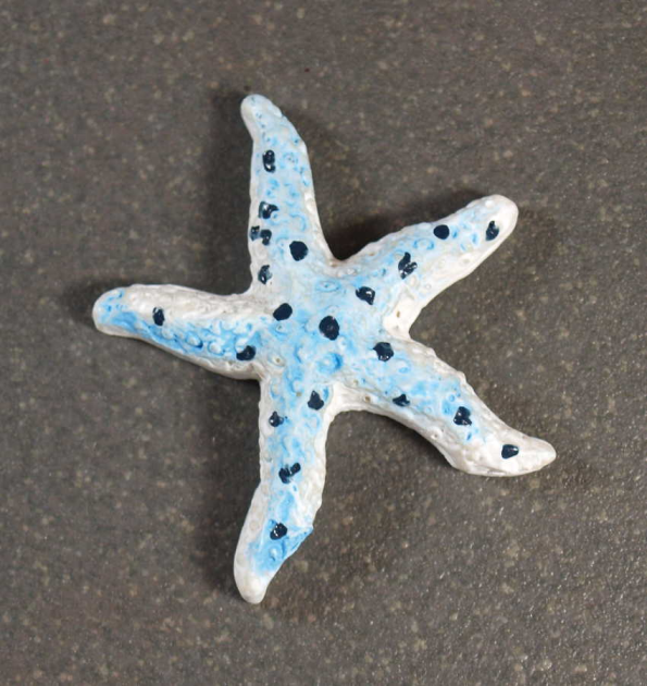 Forme Etoile de mer Bleu Clair