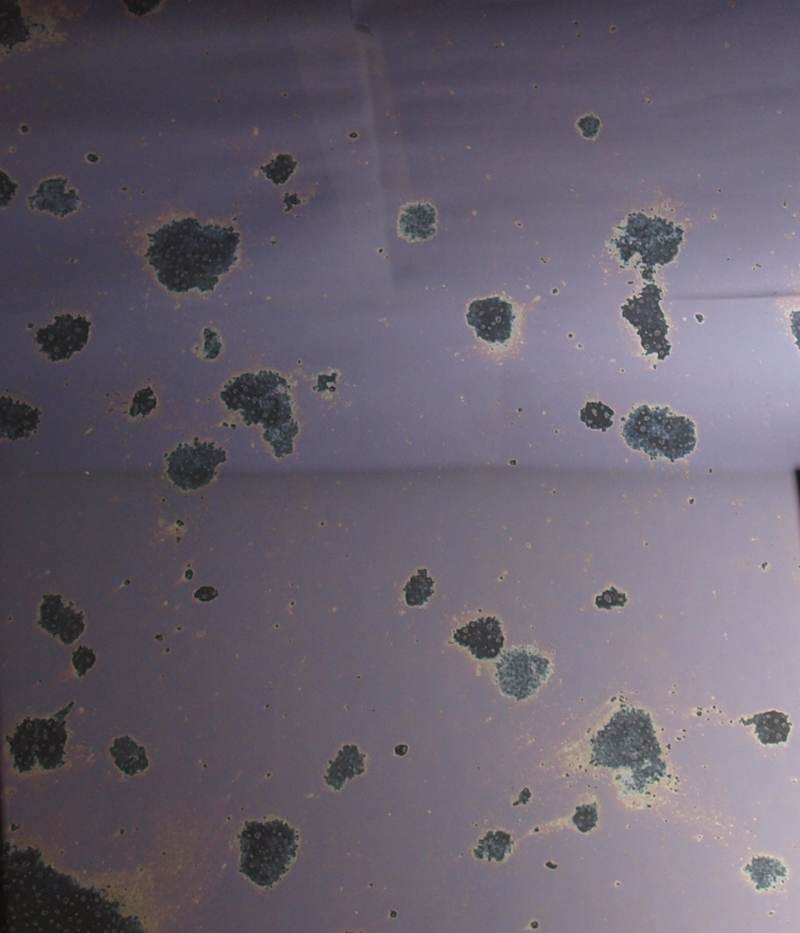 Miroir Antique 20 x 20 cm 509