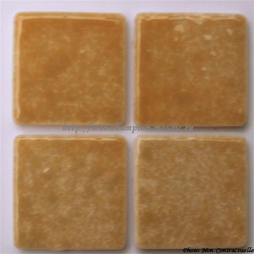 Emaux de Briare Camel en Plaque