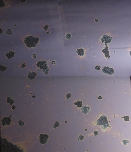 Miroir Antique 20 x 20 cm 509