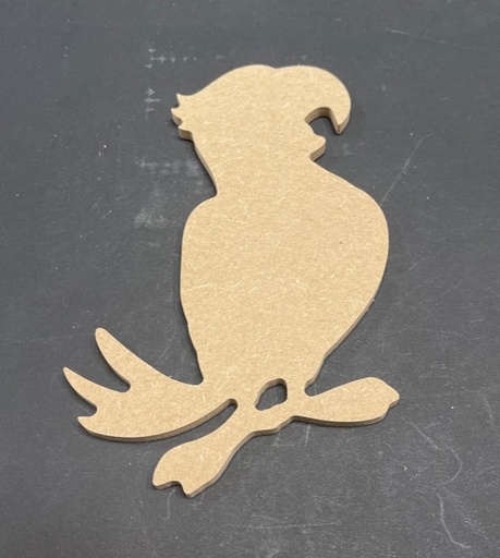 [1407] Perroquet 11 x 15 cm N°9